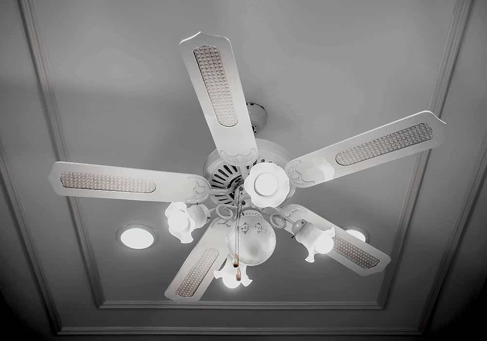 Ceiling fan
