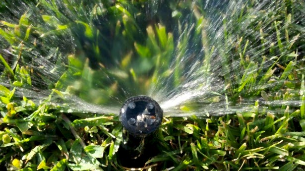 Sprinkler Image